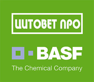Цитовет Про