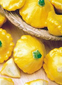 Насіння патисона Сонячна Чарівність F1 (Sunny Delight) F1 500 насінин