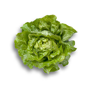 Насіння салату головчастого маслянистого Джиска (Jiska RZ), зелений 5000 дражованих насінин