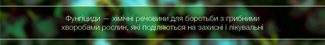Фунгіциди