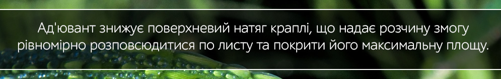 aduvant