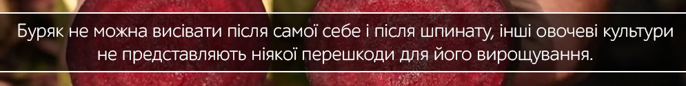 buryak stolovii kruglii