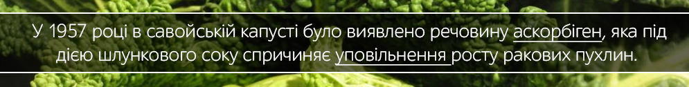 kapusta savoiska