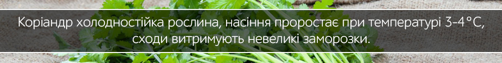 koriandr