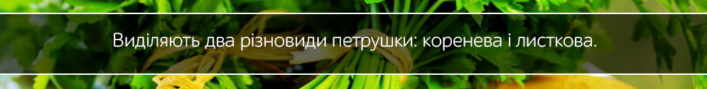 petrushka