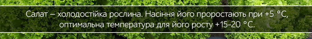 salat napiholovchastii